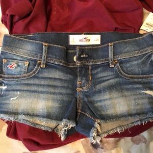 Hollister Betty shorts